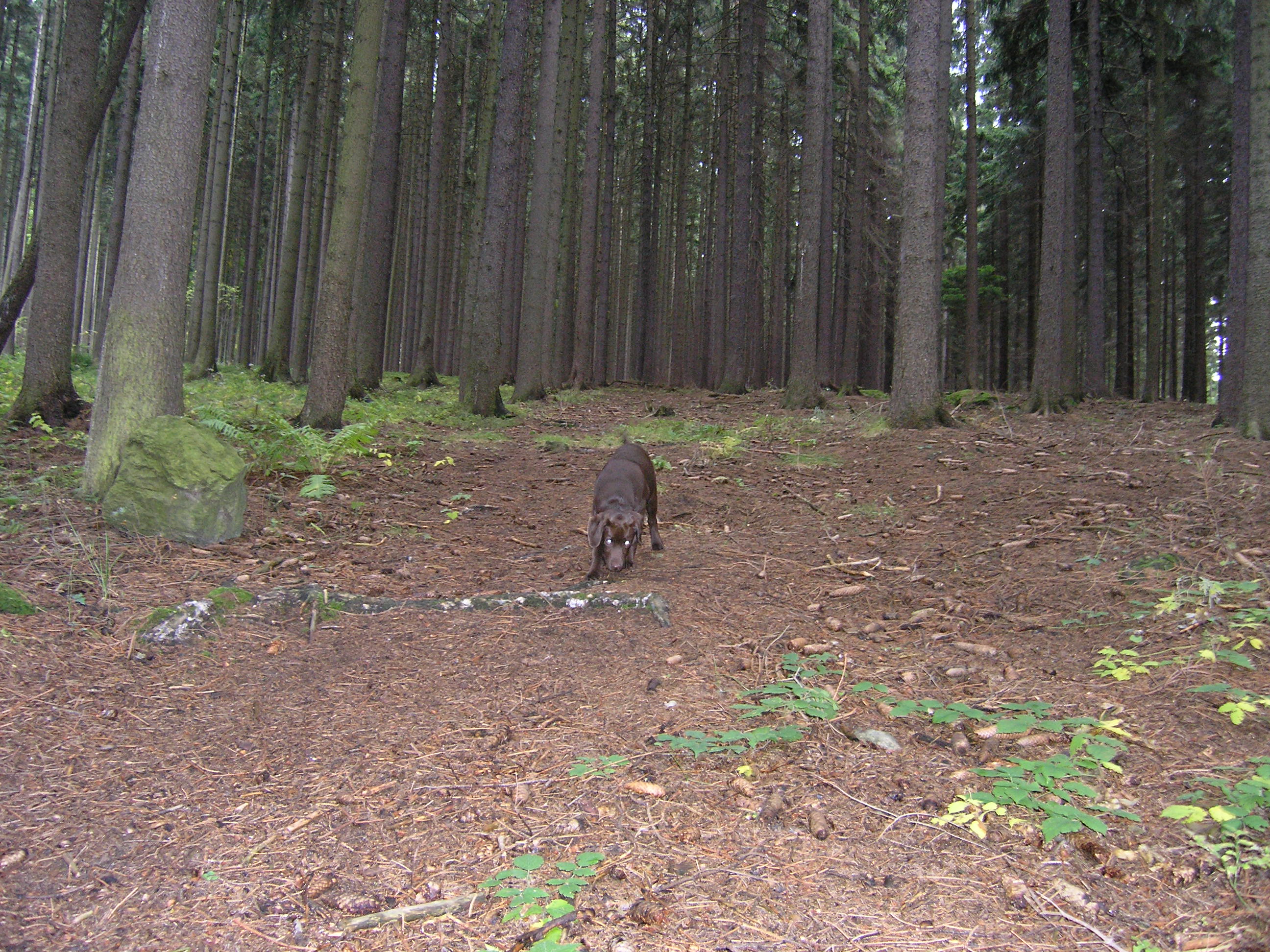 PA040381.JPG