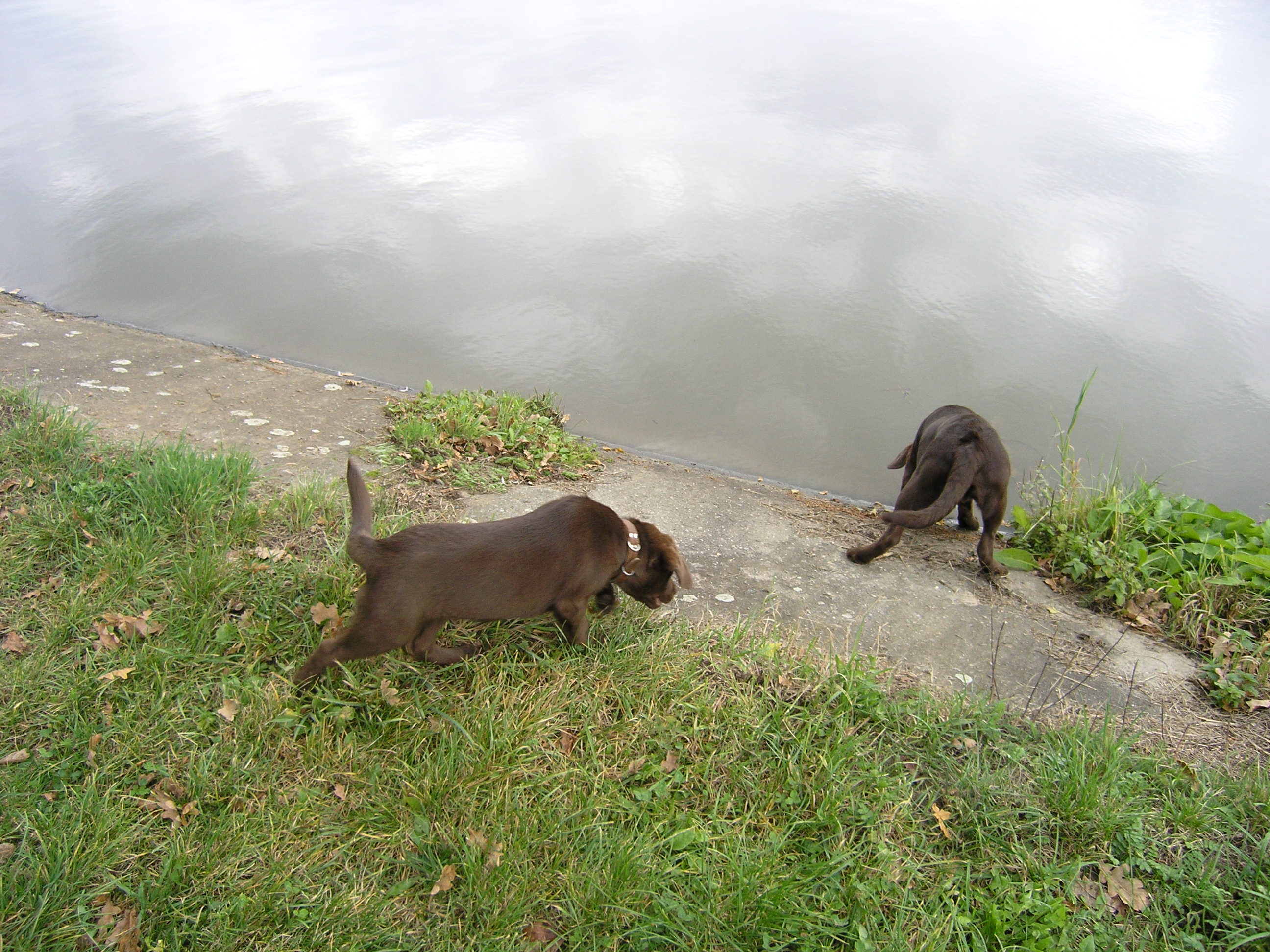 PA040387.JPG