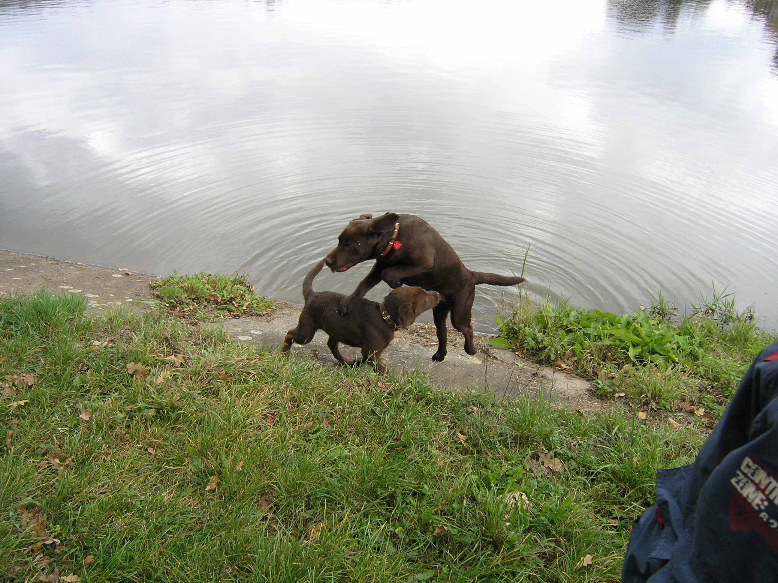 PA040388.JPG