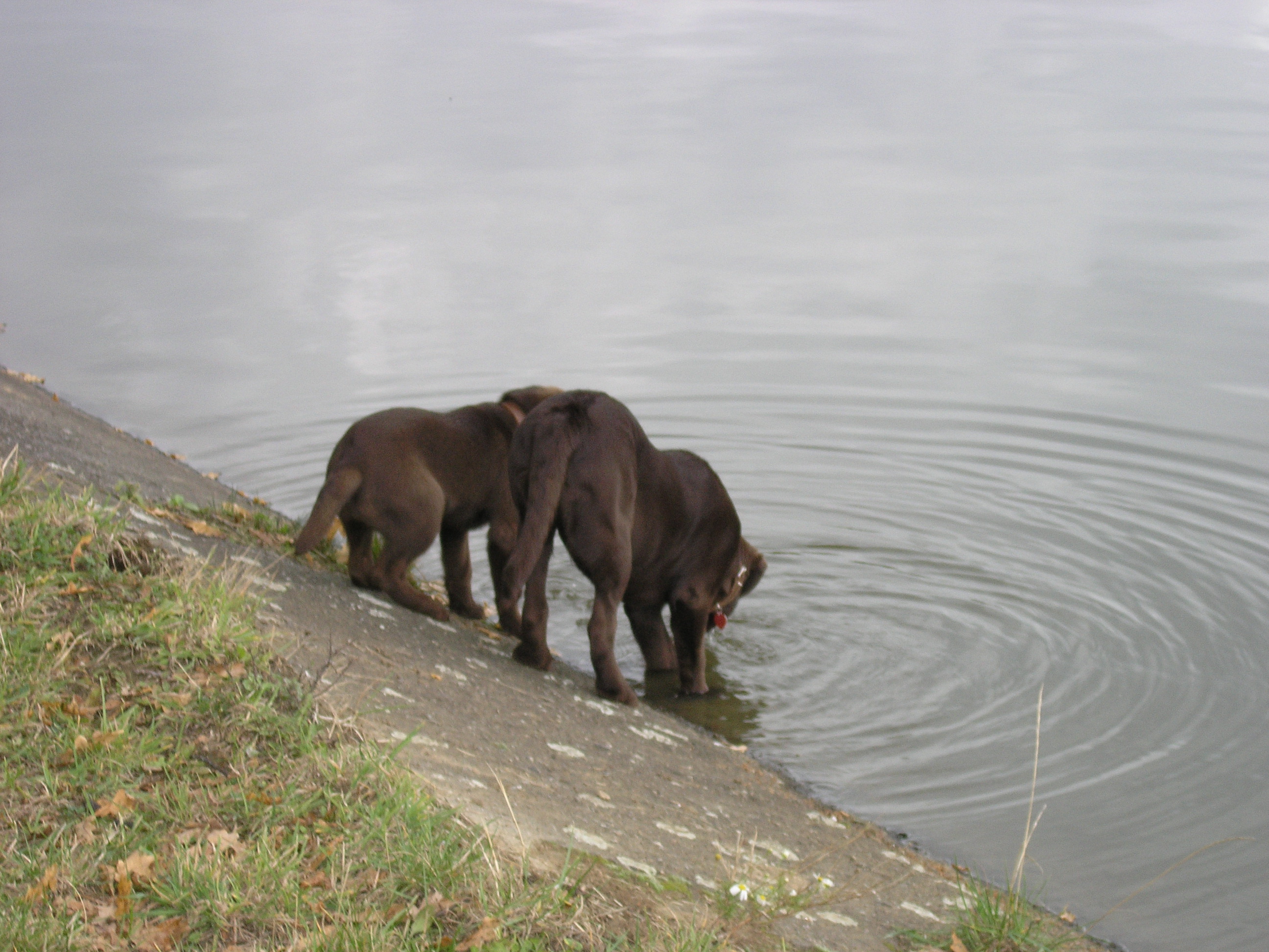 PA040396.JPG