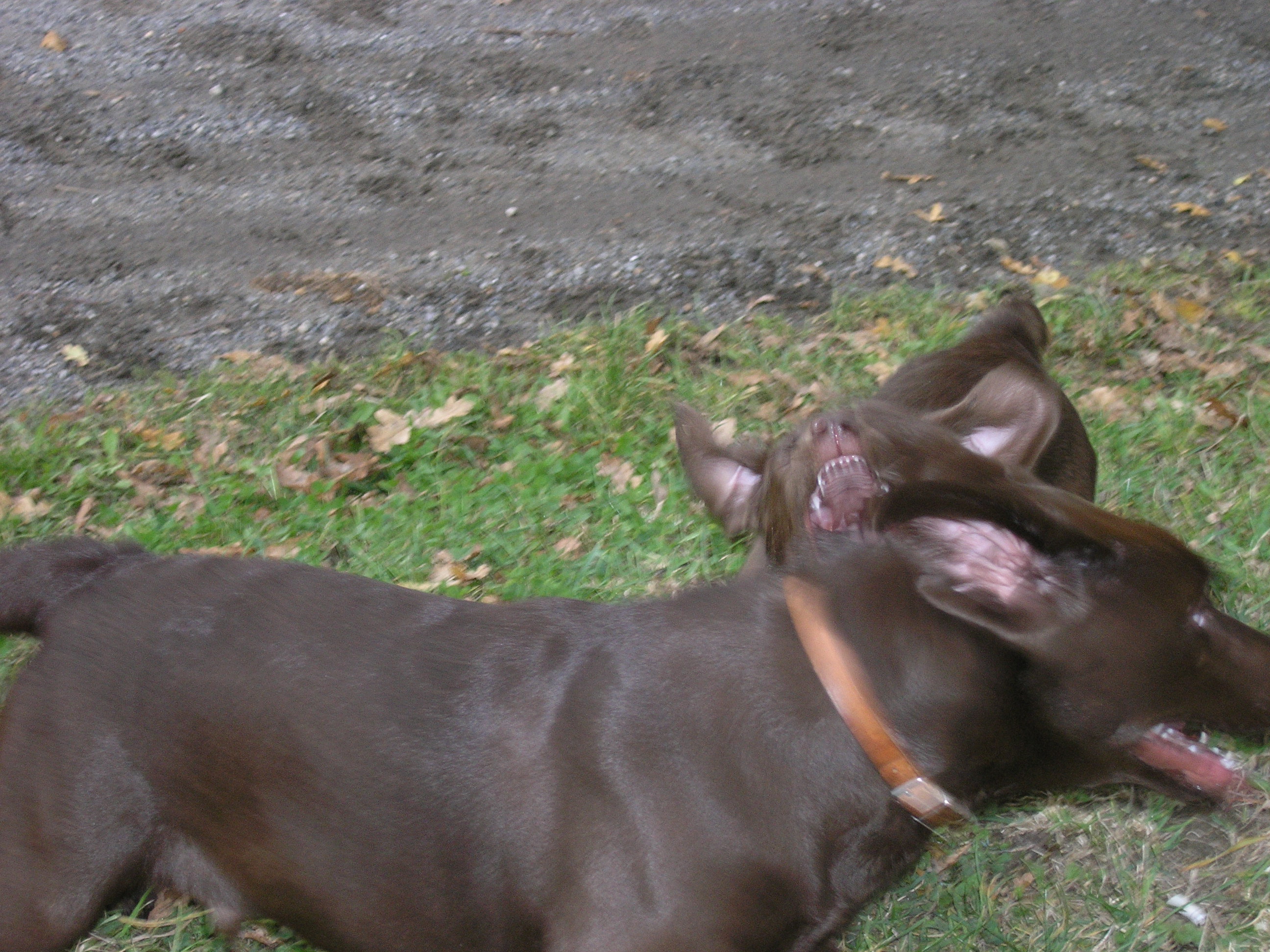 PA040399.JPG